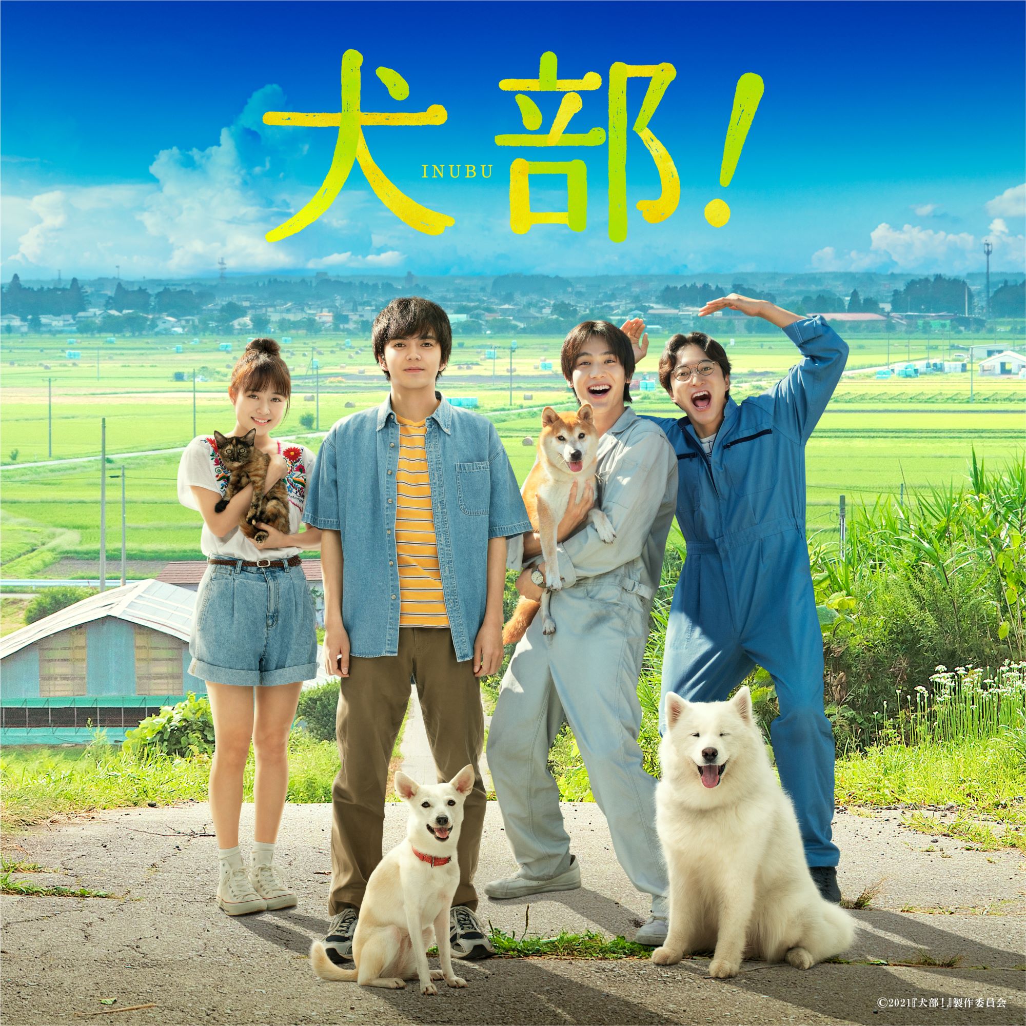 映画『犬部！』オリジナル・サウンドトラックが7月21日（水）より全世界配信開始！